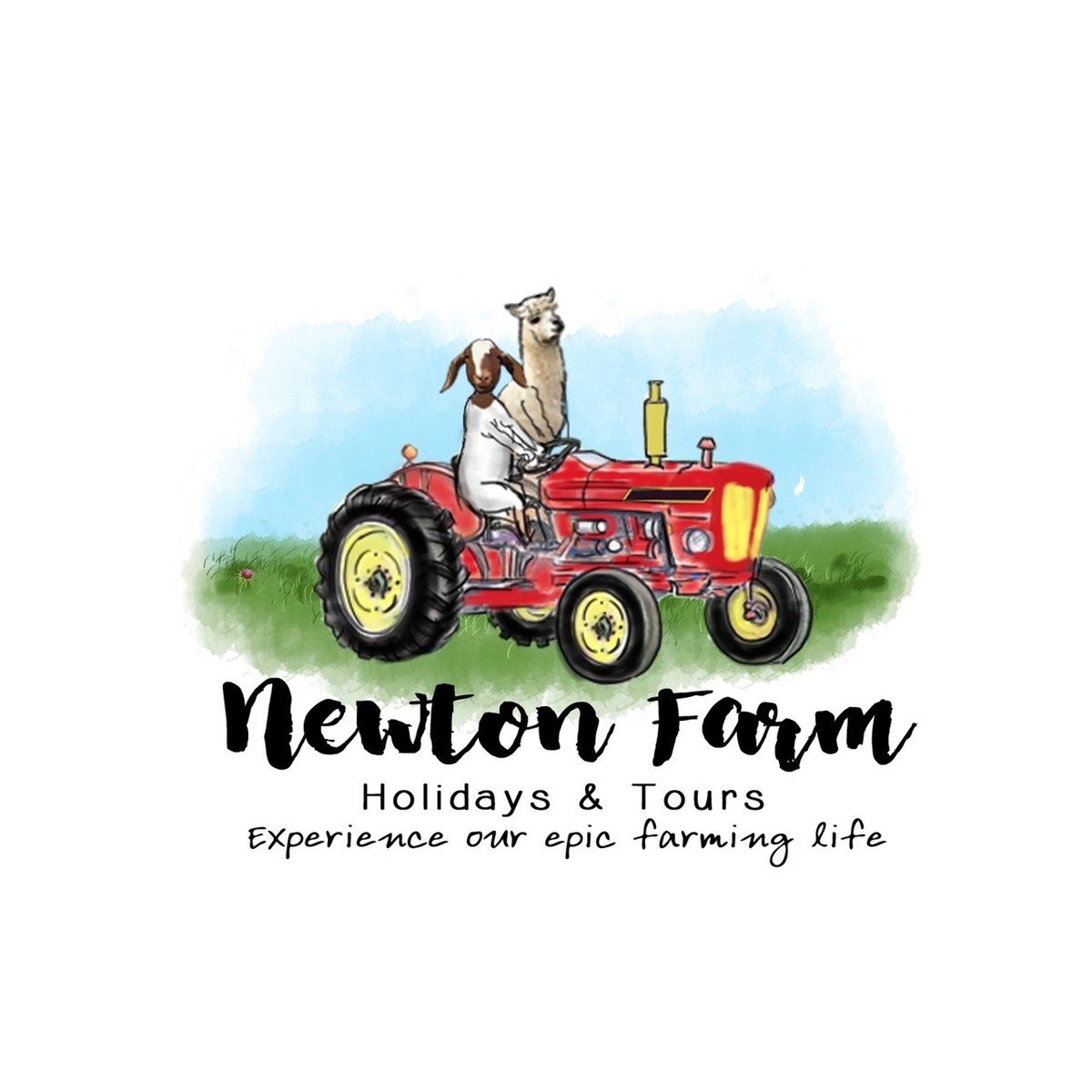 Newton Farm Holidays & Tours logo